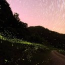 초리넝쿨마을 이미지