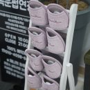 제니의하루 이미지