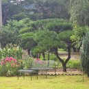 보라빛 낭만펜션 이미지