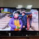 KBS 2 TV "생생정보~" 화면 사진 이미지