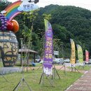 영동군 관광안내소 이미지