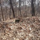 선부동 지석묘군 이미지