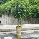 민철농장 이미지