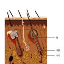미담한의원 이미지