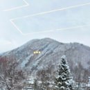 순정목장 이미지