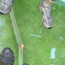 새삼목장 이미지