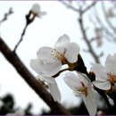 창원대로 이미지