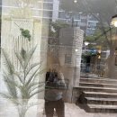헤리턴스 Cafe 대덕점 방문 후기, 법동 카페
