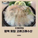 고래고래회&해산물포차 | 평택 합정동 조개터 횟집 고래고래포차 후기
