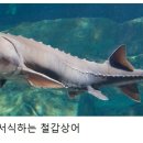 (웹소설) : 카스피 해전 2 - (철갑상어) 이미지