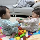 명품아이아동복