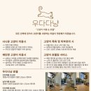 고양이미용 우다다냥 이미지