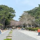 대왕암공원타워주차장화장실 이미지