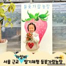 가람농장 | 연천 들꽃가람농장 경기도 딸기따기체험 실내놀이터가 있는 서울근교 가성비 후기