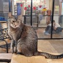 일진사약국 이미지