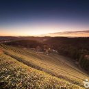 한국차박물관(소리문화공원) 이미지