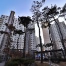 노은탑공인중개사사무소 이미지