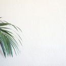 마곡휴연합의원 이미지