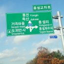 볏짚농장 이미지