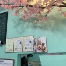 나라라펫 이미지