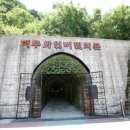 무주산머루클러스터사업단 이미지