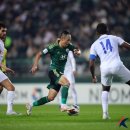 라이온씨티 이미지