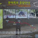 옛길 플라워 이미지