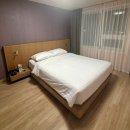 절물 | 한화리조트 제주 원룸 호텔형 공항 셔틀버스 뚜벅이 숙박 후기 (feat. 절물오름)