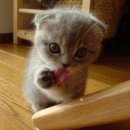 비비큐(BBQ)치킨송정점 이미지