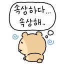 넘버원 유도관 이미지