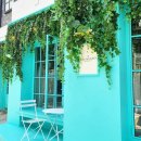 79 파운야드 이미지