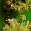 내면의 바다 이미지