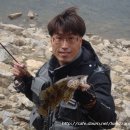 2010 남한강 루어 클럽 공식 첫 쏘가리. 이미지