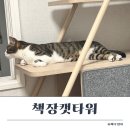 펫타워 | 일룸 펫가구 책장캣타워 캣책장 내돈내산 장점단점 솔직후기
