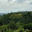 고성군 그라운드 골프장 화장실 | 세부 골프장 알타비스타 라운드 후기, 복장규정