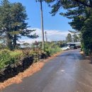 태흥1리 마을회관 이미지