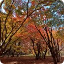 (주)유명한여행사