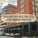 바리 이미지