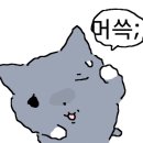 하늘이 열리는 무인텔 이미지