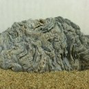 덕산수산