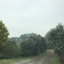 애월다래네 이미지