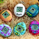 작은친구 이미지