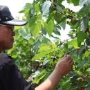 송음농장 이미지