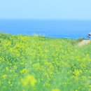 바다풍경(오륙도) 이미지