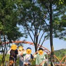 금광초교길 이미지