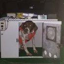 루비켄넬 이미지