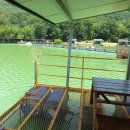 도채낚시터 이미지