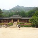 파라웰 Daum카페