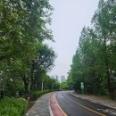 중랑천 제5체육공원 이미지