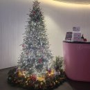 12/9 크리스마스 테라리움 | 서울역차병원 테라리움 무료원예수업후기, 복직준비! 토익스피킹 시험점수나 어여 나왔으면